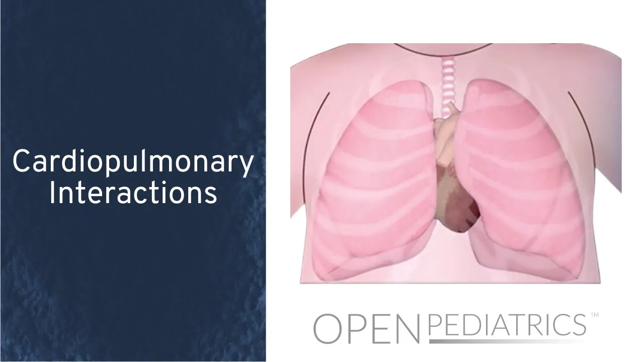 Cardiopulmonary Interactions by J. Rettig | OPENPediatrics
