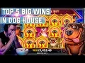 The Dog House top 5 BIG WINS - Record win on slot
