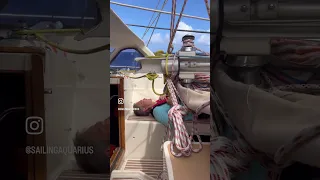 Atlantic Ocean Crossing Diaries, Day 8 #sailingaquarius #atlanticocean #oceancrossing #disaster
