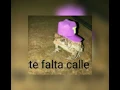atrévete-te-te - calle 13 - sped up