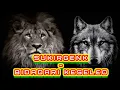 Download Lagu SUKIRGENK - BIDADARI KESLEO