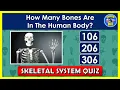 SKELETAL SYSTEM QUIZ How Much Do You Know About the SKELETAL SYSTEM QUESTIONS