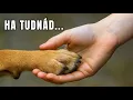 Download Lagu 30 Dolog, amiről a Kutyád azt Kívánja, Bárcsak Tudnád