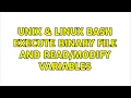 Unix Linux BASH execute binary file and variables