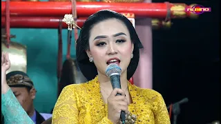 Download Lgm.KANGENING ATI si CANTIK PENDATANG BARU // CINDE LARAS MP3