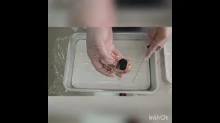 تشريح عين البقرة 