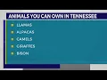 Animals you can have as pets in TN