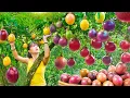 Download Lagu Rewind Timelapse: Harvesting 1000+ Giant Passion Fruits by 3-Wheeled Vehicle, Caring for Ducklings