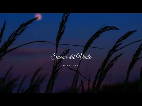 Download MP3 Suono del Vento - RELAX- ASMR ❤💨🌎 - Rumore del vento per meditare e dormire... | Ep.3