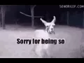 Fabulous - GIF