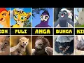 The Lion Guard Characters in Real Life