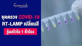  ชุดตรวจ RT-LAMP ทำงานอย่างไรในแต่ละขั้นตอน 