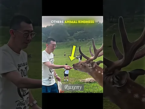 Others Animal Kindness VS This One 🥺❤️‍🩹 #respect #kindness #kind #wholesome #edit #animals