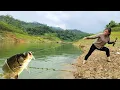 Download Lagu Single Mom's Fishing Skills - Ancient Fishing Techniques to Harvest Giant Carp for Sale