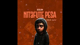 Developa Nitafute Pesa Official Audio 