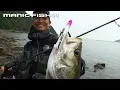 DUO×COREMAN Manic FISH88 Commentary/Coreman Hirofumi Izumi