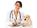 Physician Salary Physician assistant Salary Physicians Assistant Salary