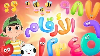 أغنية الأرقام             قناة لونا دندنها
