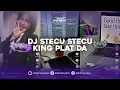 Download Lagu DJ STECU STECU STELAN CUEK BARU MALU PLAT DA VIRAL TIK TOK TERBARU 2025