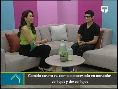 Comida casera vs. comida procesada en mascotas ventajas y desventajas