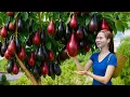 Download Lagu Harvesting Wild Pears \u0026 Making Homemade Avocado Cake | Authentic Traditional Recipe
