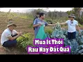 Download Lagu 2Q thắt lựng buộc bụng để mua một loai rau trong vườn nhà Lêu|| 2Q Vlogs Cuộc Sống Châu Phi
