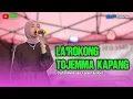 Lagu LA'ROKONG TOJEMMA KAPANG - Ridwan sau || cover by Rini || Bijayya sound system