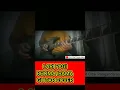 Download Lagu lari pagi, Rhoma irama, guitar cover, dangdut, #shorts