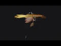 Phora - No Looking Back [Official Audio]