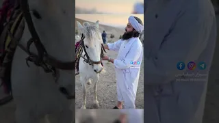 دو نگاره از شهید مولانا انصاری و شیخ صاحب فضل الرحمن انصاری Duet بیانات کلیپ نقشبندیه Love 