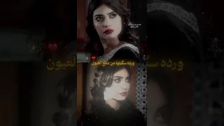 ورده سقيتها من دمع العيون مقبره الاحياء نمره واتباديه روايات عراقيه واقعيه Wattpad واتباد Mama  ورده سقيتها من دمع العيون مقبره الاحياء نمره واتباديه روايات عراقيه واقعيه Wattpad واتباد Mama