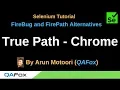 FireBug and FirePath Alternatives - Part 13