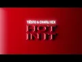 Tiësto & Charli XCX - Hot In It (Visualizer)
