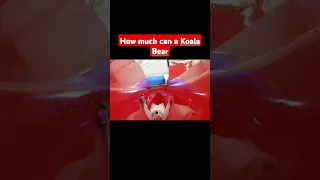 The Perfect Catamaran Hull #boatbuilding #boatfail #gelcoat #sailing #catamaran #boating