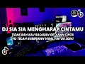 DJ Tidak Kah Kau Rasakan - Sia Sia Mengharap Cintamu Reina Alvira Viral Tiktok 2024 !