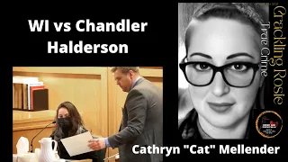 CHANDLER HALDERSON S EX CATHRYN CAT MELLENDER TESTIMONY