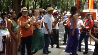 fandango at mexico city