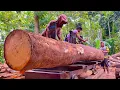 Download Lagu It's truly outrageous how ferociously they saw decades-old Mengir wood, which immediately sold out.