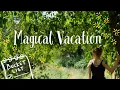A Mindful Summer Bucket List For A Magical Vacation 🌿✨