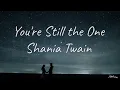 You're still the One - Shania Twain | lirik dan terjemahan