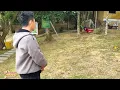 Dad watches Monkey Kaka playing with nature here