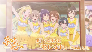 YouTube影片, 內容是菜なれ花なれ 的 第12話插入曲「花になれ」中川梨花、中島由貴、武田羅梨沙多胡、石見舞菜香、佳原萌枝、伊藤美来