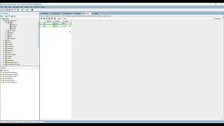 Oracle 32 Insert Data into a Table Using SQL Developer