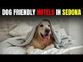 Canine Comfort in the Canyon Unveiling Sedona s Top Dog-Friendly Accommodations