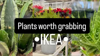 IKEA has PLANTS you cannot ignore