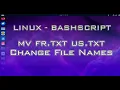 18 Bash Script - Batch File Renaming