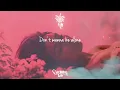 BUNT. - Love Tonight (Lyrics)