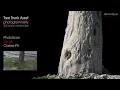 Photogrammetry exercise - Tree Trunk