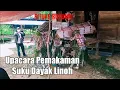 Download Lagu Ngerii!! Pemakaman Suku Dayak Oleh Bukung