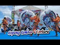 Download Lagu KEPANG KEMBAR 6 TERBARU - Jaranan ROGO SAMBOYO PUTRO | KAMPUNGBARU KEPUNG KEDIRI